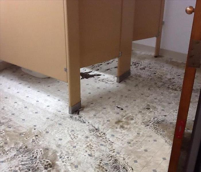 sewage flooded office bathroom floor