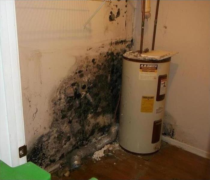 Mold on wall behind water heater