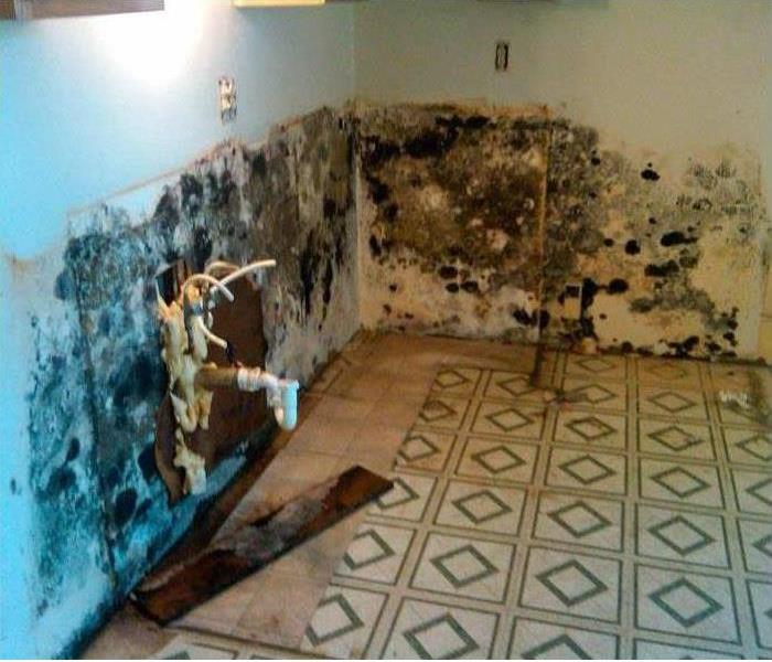 Severe Mold and water damage to wall and floor
